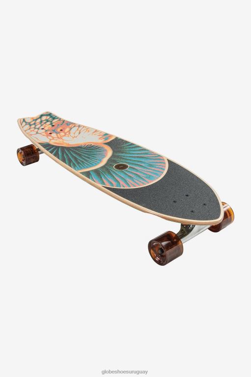 Globe Brand biomorfo crucero cromático de 33" 68L0T118 patinetas - Image 3