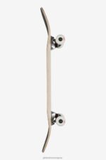 Globe Brand blanquecino Goodstock 8.0" completo 68L0T177 patinetas - Image 4